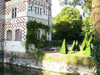 Chateau Des Reaux Chouzé-sur-Loire Kültér fotó