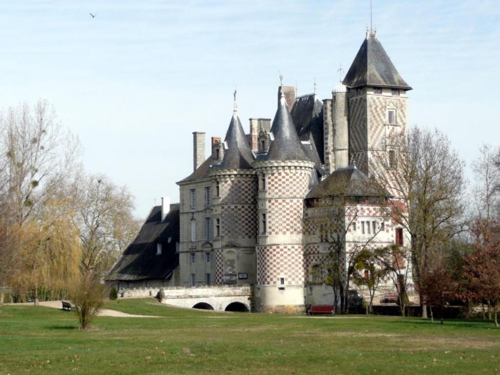 Chateau Des Reaux Chouzé-sur-Loire Kültér fotó